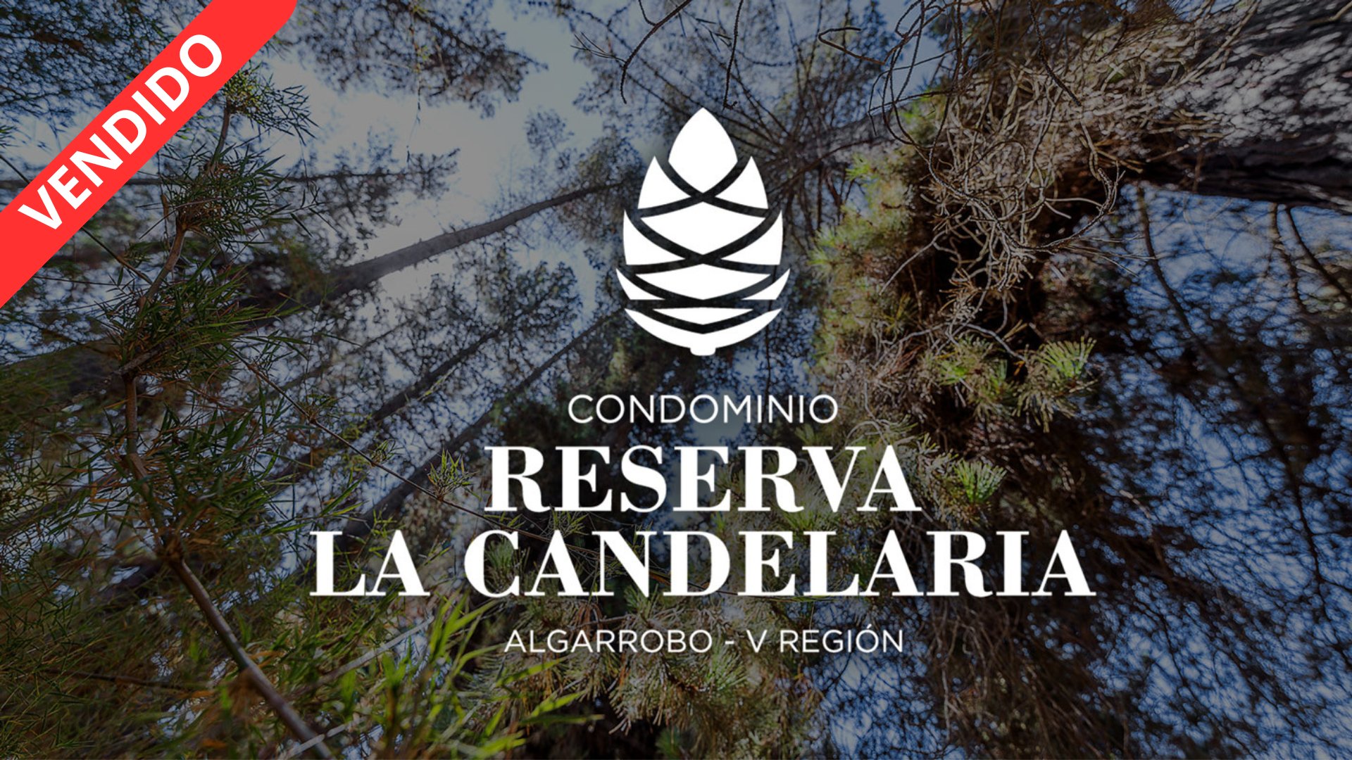 La Candelaria